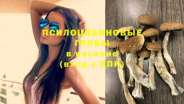 гашиш Аркадак