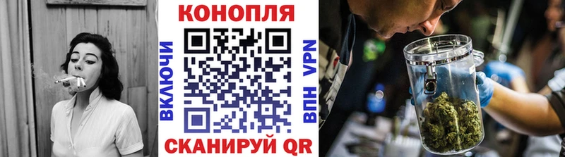 Конопля сатива  Камешково 